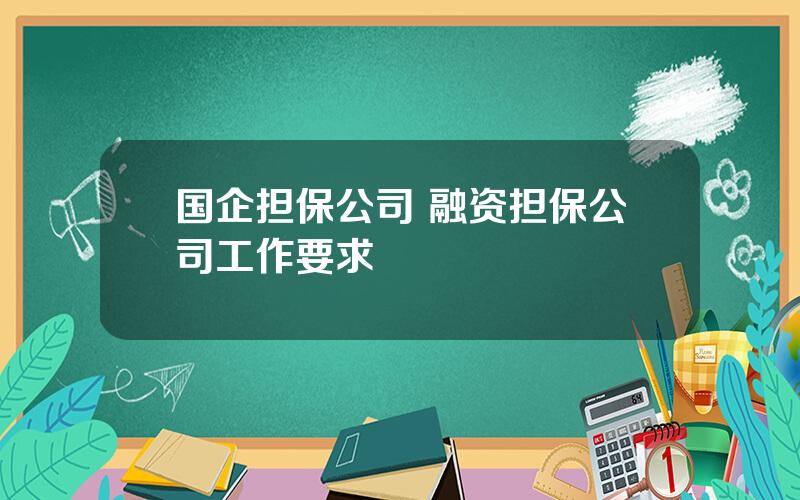 国企担保公司 融资担保公司工作要求